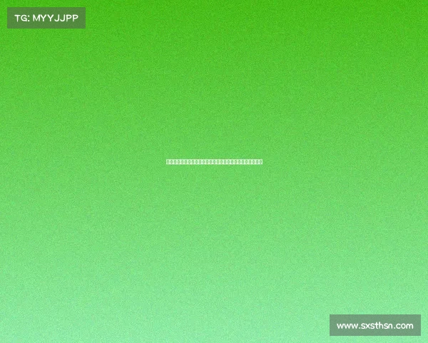 今日中国女排世界杯精彩赛事安排详尽指南时间地点对阵详情